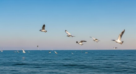 Seagulls soaring over tranquil ocean waters on a sunny day