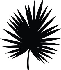 Obraz premium Silhouette of a palm frond leaf vector graphic element minimalist tropical nature design vector