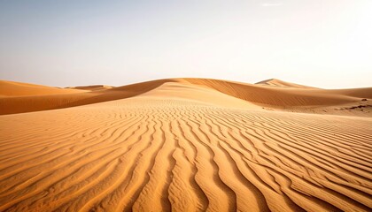 Rippled Sand Dunes Under a Clear Sky