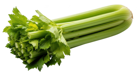 Fresh Celery Stalks With Leaves