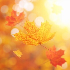 Autumnal Maple Leaves Falling with Soft Bokeh Background in Warm Tones