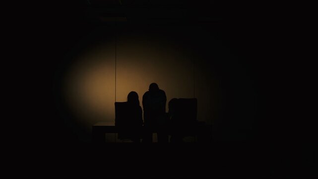 Shadows of people. Three employees of large international company completing large profitable project in office. Night time.