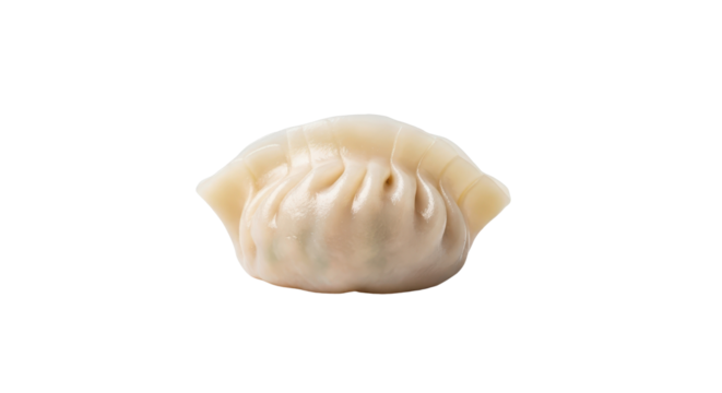 Single delicious dumpling isolated PNG with Transparent Background