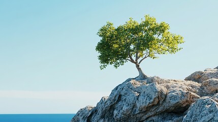 Tree growing from the edge of a rocky cliff with clear blue skies and sunlight streaming in  png