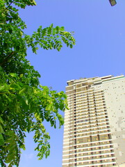 A tall urban tower rises above leafy green branches, softened with nostalgic retro tones and film grain.