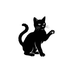 A cute, small kitten with black and white fur stands on a white background, its sweet little tail wagging