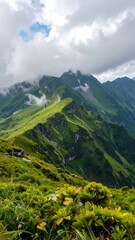 Fototapeta premium Mountainous landscape, lush greenery (1)