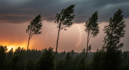 Trees bending in the wind during a thunderstorm with lightning strikes illuminating the stormy sky.