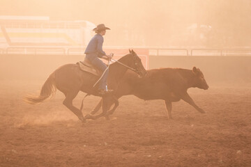 Campdraft participant on horseback with cow