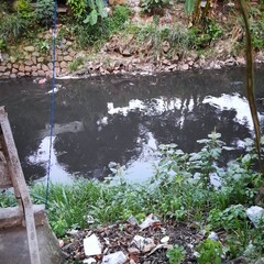 The river flow is a murky gray color with rubbish around it 