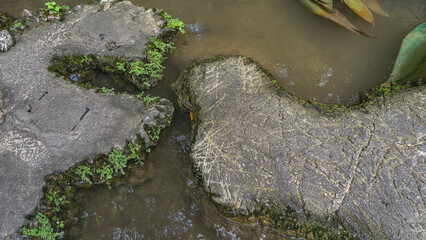 A pedestrian path made of concrete sections is laid in the pond. Bizarre shapes, rough surface. Green grass grows on the edges. Reflection on the surface of the water. Close-up. A fragment. Top view