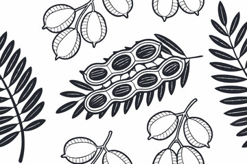 tamarind branch vector