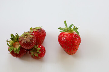 A group of fresh, juicy strawberries on a white background, showcasing their vibrant red berries and green stems. This image emphasizes the natural beauty and appetizing appearance of summer fruits.