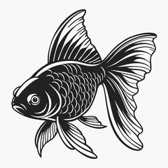 Elegant Black Goldfish Illustration with Flowing Fins and Detailed Scales.
