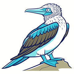 Obraz premium Blue footed booby bird cartoon illustration