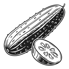 Detailed monochrome illustration of a fresh cucumber and a slice.