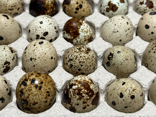 Obraz premium Fresh quail eggs in a tray top view on a wooden table ready for sale. Quail eggs arranged on the egg tray. Raw quail eggs on a culinary background. The concept of proper nutrition, healthy lifestyle. 