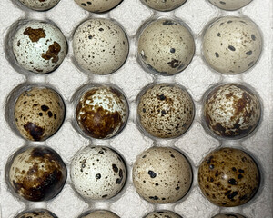 Obraz premium Fresh quail eggs in a tray top view on a wooden table ready for sale. Quail eggs arranged on the egg tray. Raw quail eggs on a culinary background. The concept of proper nutrition, healthy lifestyle. 