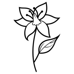 black and white flower