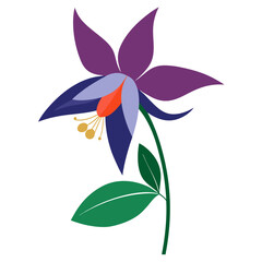 vector illustration of colorful flower