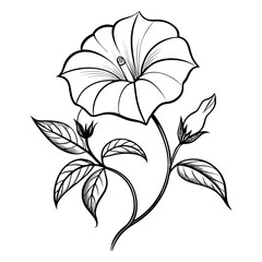 black and white flower