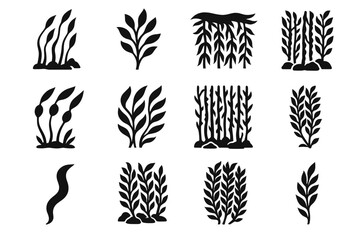 Single icons vector forest kelp stems leafy canopy overlapping icon isolated seabed