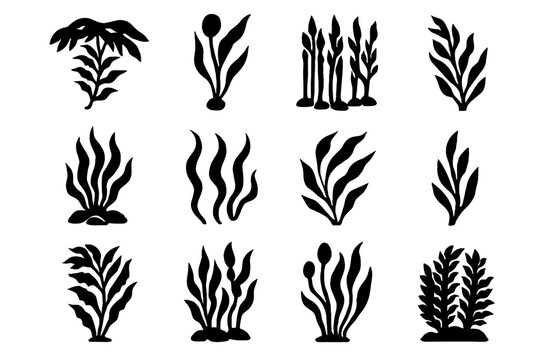 Swaying vector wide forest underwater icon isolated canopy rocky kelp overlapping icons