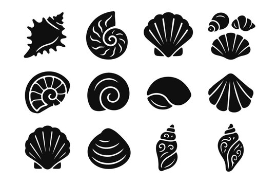 Seashell rugged tidepool glossy collection tiny icon ornamental vector clam shell set