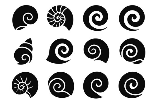 Icon stylized beach pattern shell polished curve vector spiral tropical seashell icons