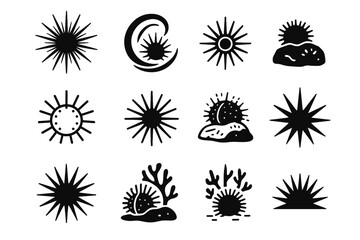 Effect mark vector urchin icon bold spine reef sea shadow