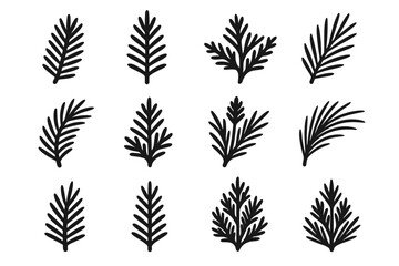 Forest needle needles pine spruce conifer branch fir icon twig vector