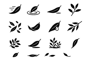 Eucalyptus elements curled pressed ground vector to icon leaf natural foliage