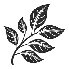 Elegant monochrome illustration of a leafy branch with detailed veins and textures.