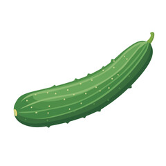 Vector cucumber, horizontal layout, clean green, flat vector style, isolated