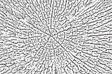 Vector background, texture of a board, wood veneer.