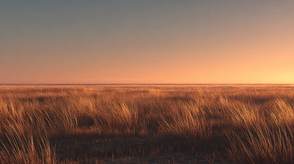 empty grassland stretching to horizon with rich orange sunset light, subtle color gradient in clear sky, minimalist evening landscape with lots of blank space