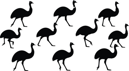 Emu bird silhouette vector collection, Australian wildlife icon set, flightless bird illustration design, black emu animal clipart pack, isolated