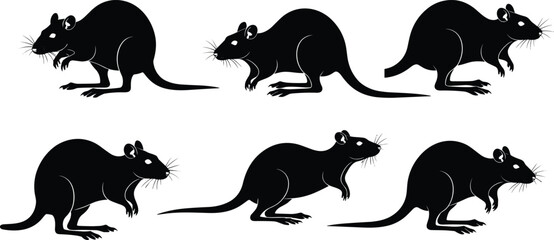 Silhouette rats in various positions, black rodent vector, pest animal icon, mouse illustration, wild rat design for graphic use.