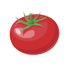 Glossy red tomato vector illustration, simple minimal flat style, isolated, with green stem