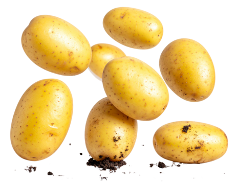Fresh Golden Potatoes Falling in Mid-Air with Rustic Farm Vibe
