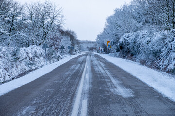 A journey on a snowy road through a silent winter forest, Winter Journey