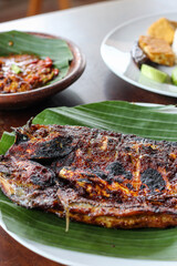 grilled seafood. grilled fish. grilled squid.