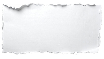Ripped white paper rectangle