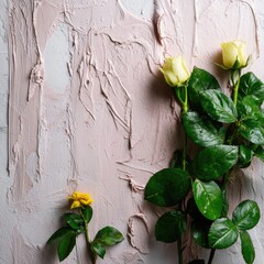 Pale pink textured backdrop with yellow and cream roses