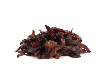 ear fungus. jamur kuping. isolated on white background.