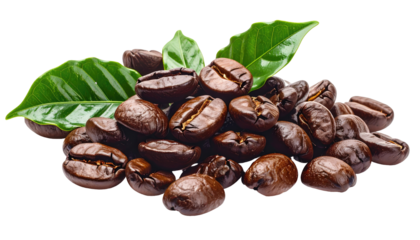 Roasted coffee beans with fresh leaves