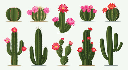 Collection of diverse desert cacti species showcasing vibrant blooms in various shapes and sizes