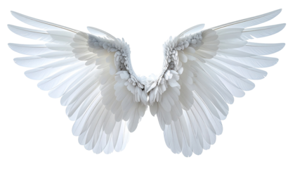 Pair of large, white angel wings spread wide.  Delicate, feathery texture detailed