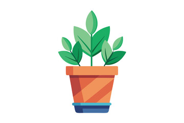 Potted plant with vibrant green leaves sits against a transparent backdrop peacefully