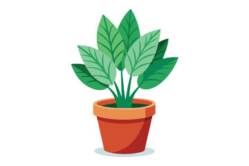 Houseplant's vibrant green leaves sit inside an elegant terracotta pot with a transparent background